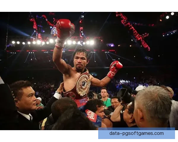 拳击世界纪录:创造历史的拳王神话 拳击世界纪录:创造历史的拳王神话