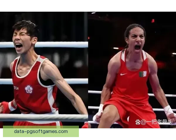 拳击赛事热门对决，谁能夺得胜利？