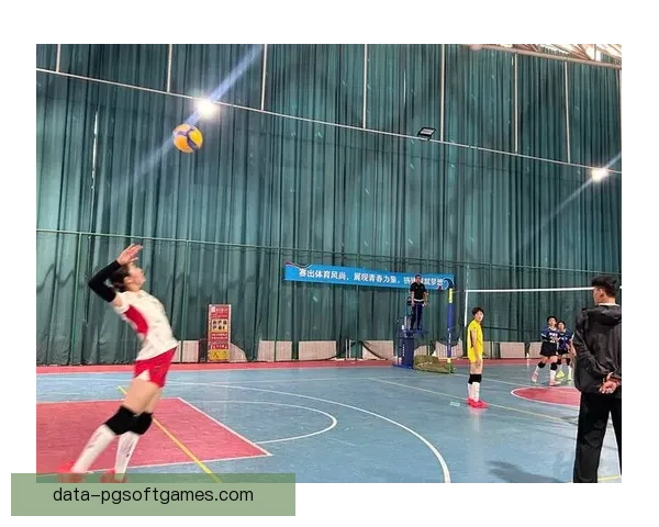 探讨排球比赛中团队合作的关键因素