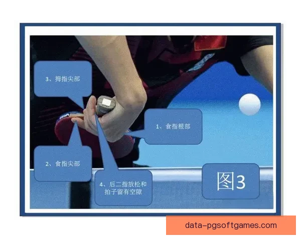 乒乓球规则解析及比赛技巧指南