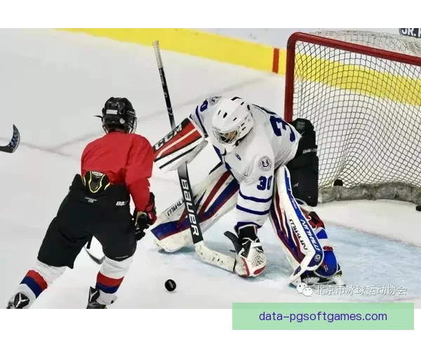 冰上绝技：探秘冰球高手的技巧与秘诀