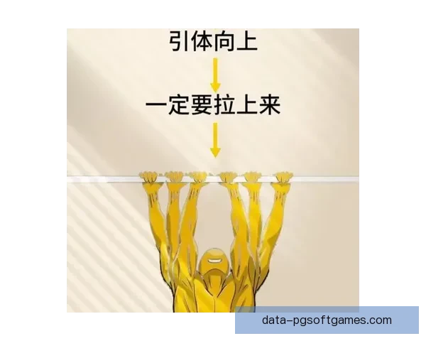 全面解析健身训练：科学方法、实用技巧及注意事项