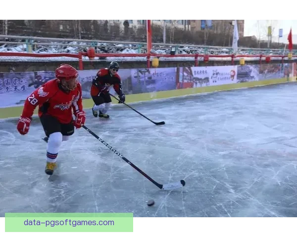 冰球盛事：激情碰撞，荣耀角逐