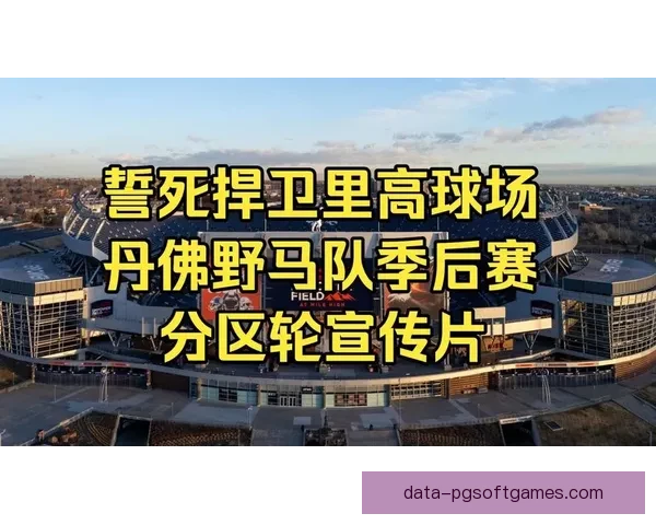 橄榄球大奖赛：荣耀争夺战