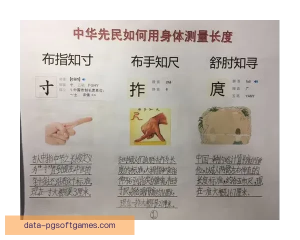 滑冰数据分析:探寻冰上飞行的秘密 滑冰数据分析:探寻冰上飞行的秘密