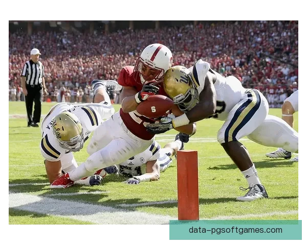 橄榄球规则解读及实战技巧分享