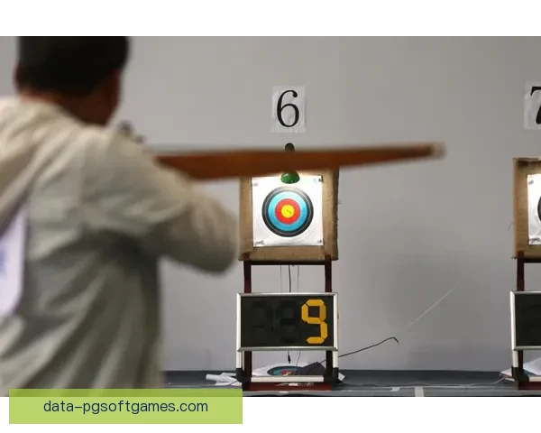 箭无虚发：射箭赛事精彩回放