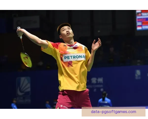 羽毛球公开赛：挑战世界冠军的不败传奇