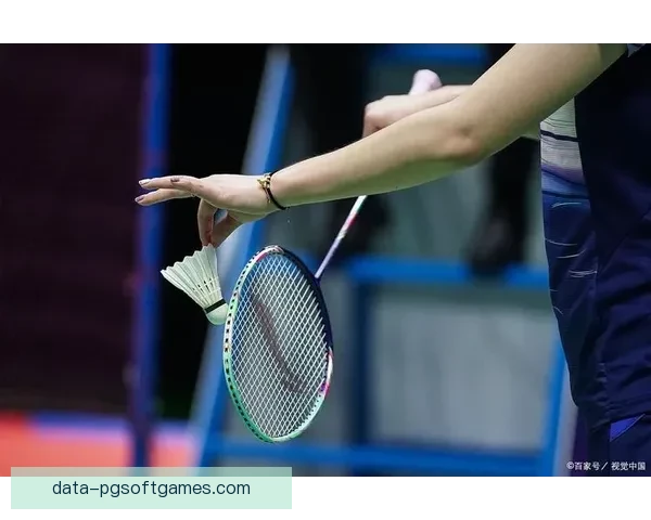 羽毛球比赛规则解析及常见判罚手段