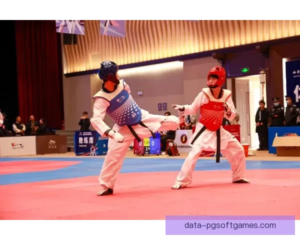 跆拳道杯赛：传统与现代相融合，风格多样竞技激烈