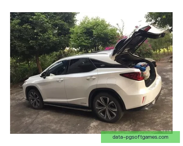 跳水历史记录精华盘点：技惊四座，创造传奇